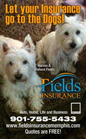 Fields Insurance Memphis