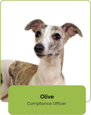 Whippet Creative Design Asset - Whippet Creative Asset